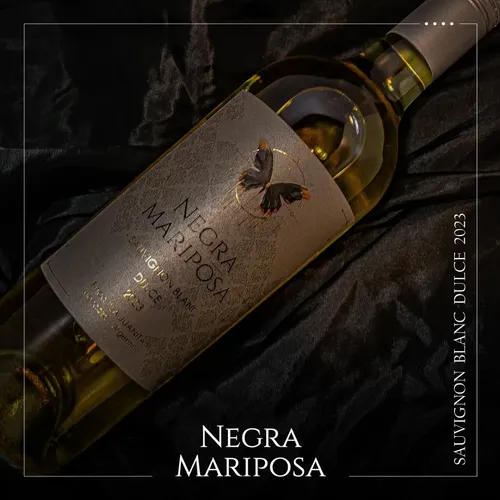 D_NQ_NP_913271-MLA82195661386_022025-O