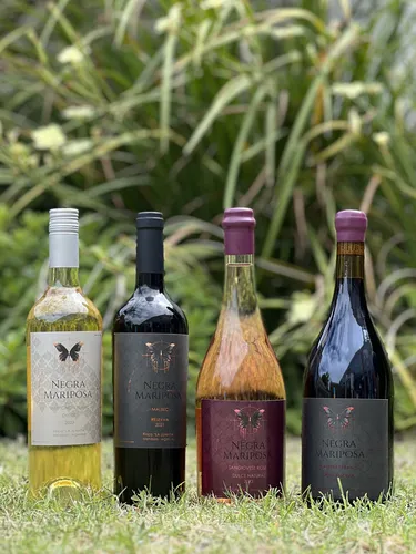 D_NQ_NP_627412-MLA81737492958_012025-O