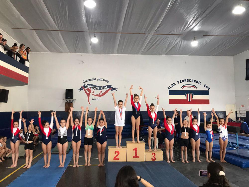 TORNEO AMISTAD GIMNASIA ARTISTICA JUNIO 2024 (2)