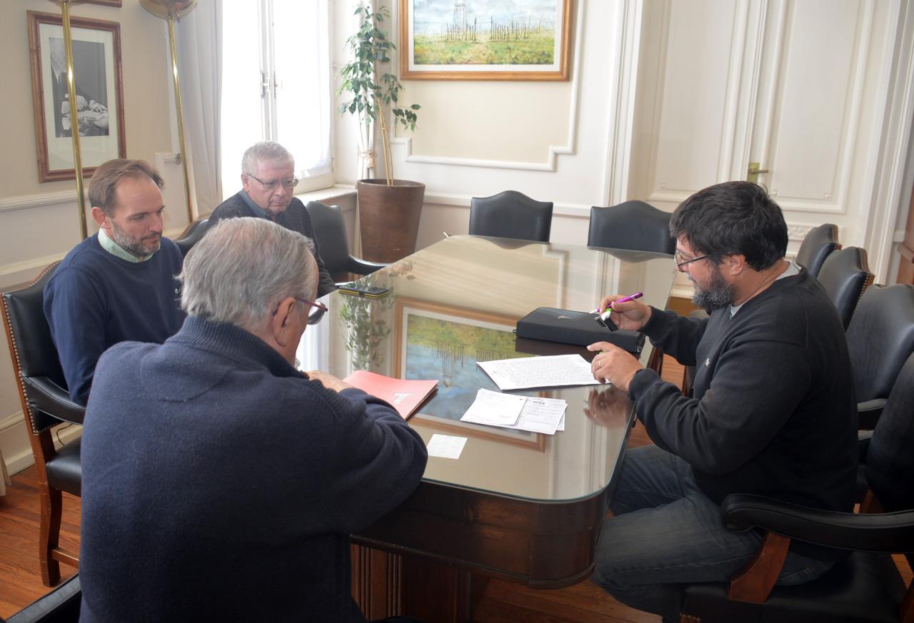 Firma (19)