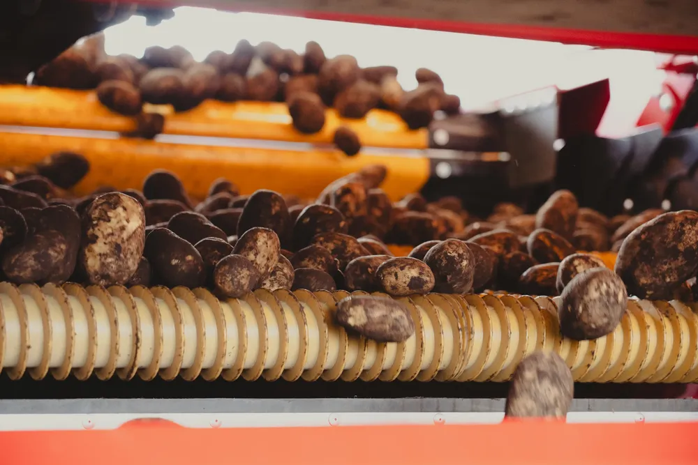 LamWeston by RITVU-28